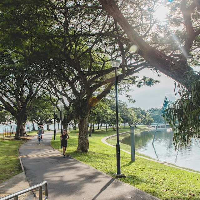 Imagem de um parque com lago e pessoas aproveitando o tempo de lazer.